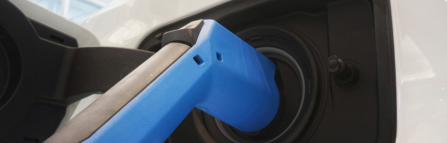 The Competitiveness of the EV Market